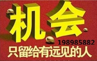 代理中的戰斗機 hz代理小顏，助您領航商海新高度