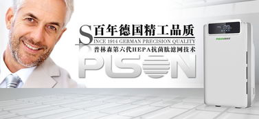 普林森代理商區(qū)域終端市場經(jīng)營策略 精準(zhǔn)廣告設(shè)計(jì)驅(qū)動(dòng)增長